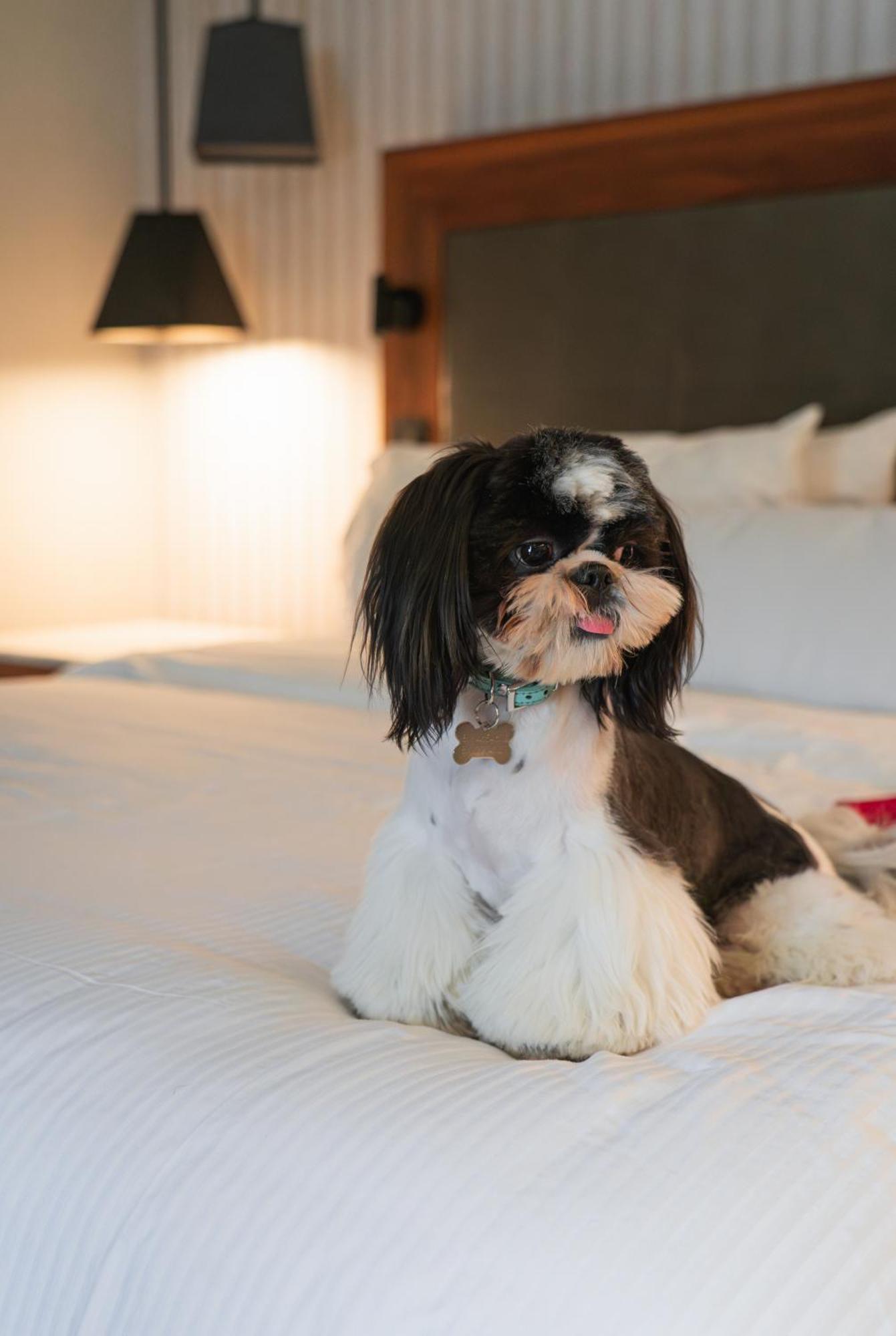 The Westin Monterrey Valle San Pedro Garza Garcia Ngoại thất bức ảnh